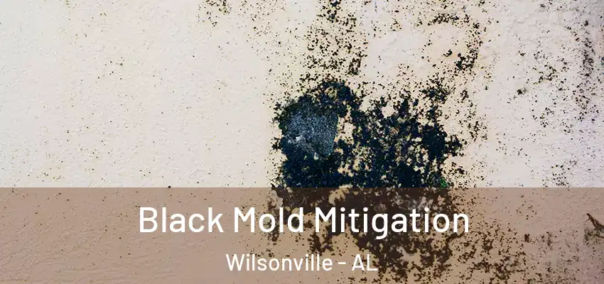 Black Mold Mitigation Wilsonville - AL