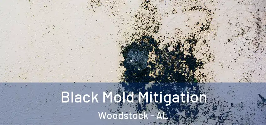 Black Mold Mitigation Woodstock - AL
