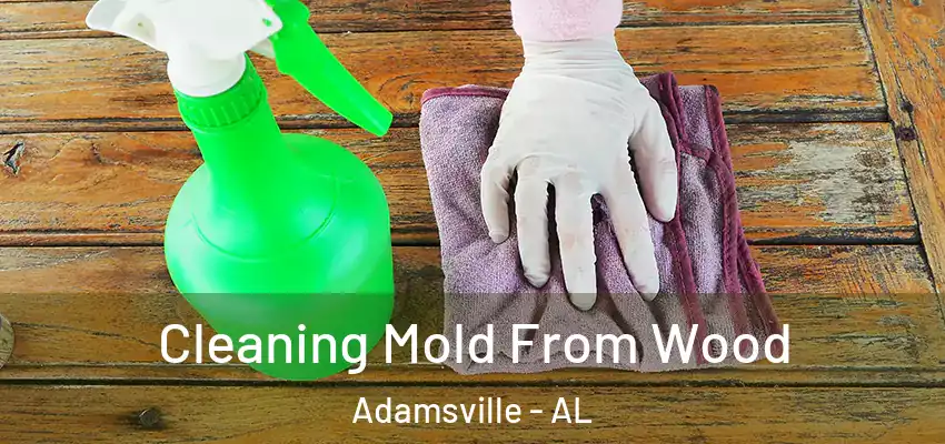 Cleaning Mold From Wood Adamsville - AL