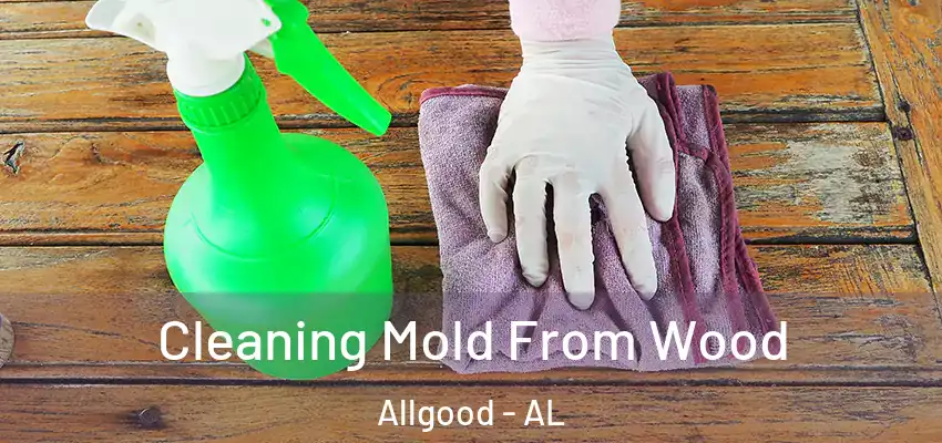  Cleaning Mold From Wood Allgood - AL
