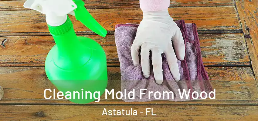 Cleaning Mold From Wood Astatula - FL
