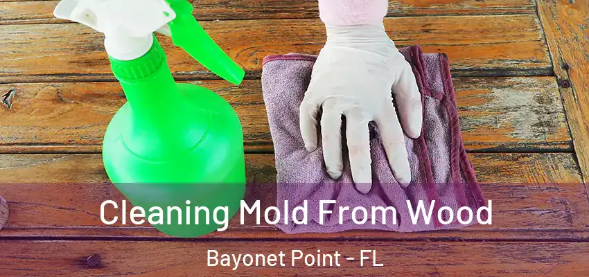  Cleaning Mold From Wood Bayonet Point - FL
