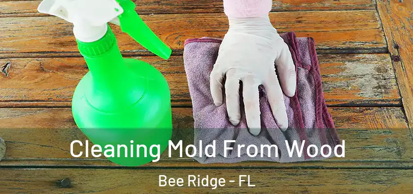 Cleaning Mold From Wood Bee Ridge - FL