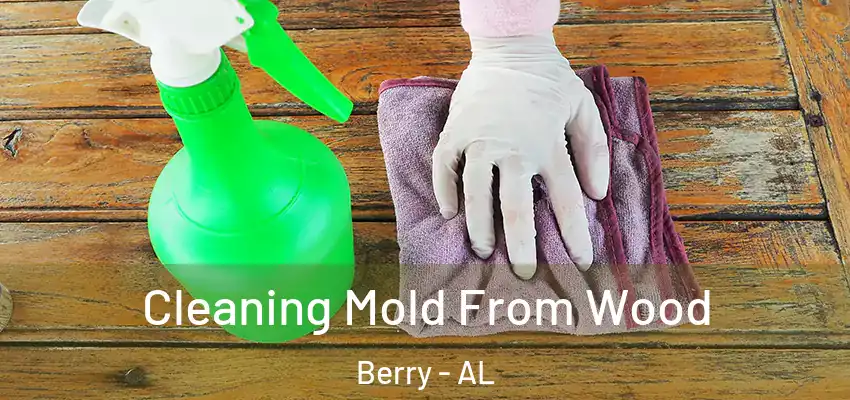  Cleaning Mold From Wood Berry - AL