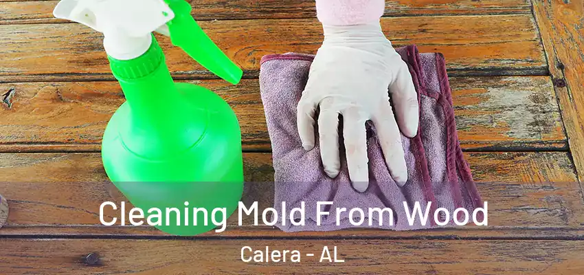 Cleaning Mold From Wood Calera - AL
