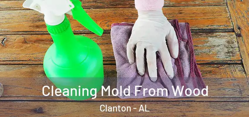 Cleaning Mold From Wood Clanton - AL