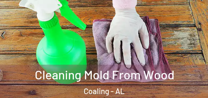 Cleaning Mold From Wood Coaling - AL