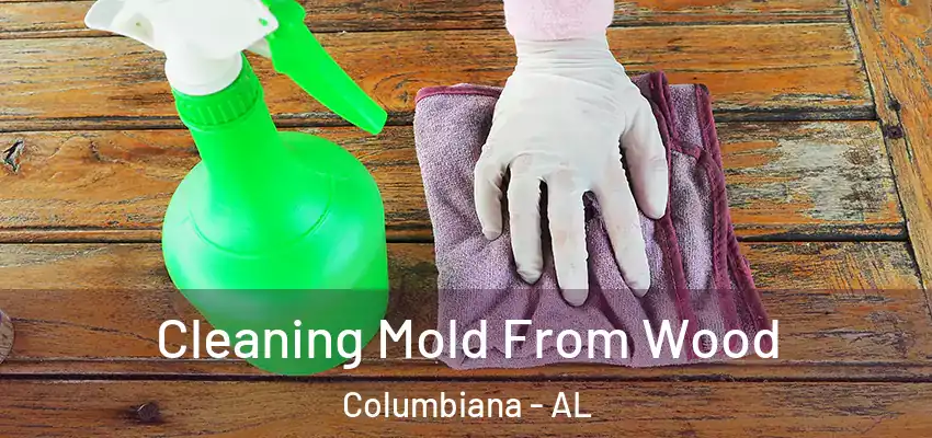 Cleaning Mold From Wood Columbiana - AL