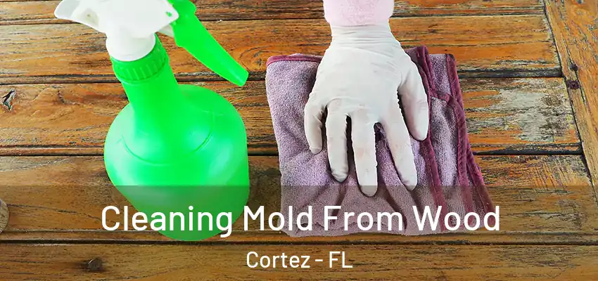 Cleaning Mold From Wood Cortez - FL