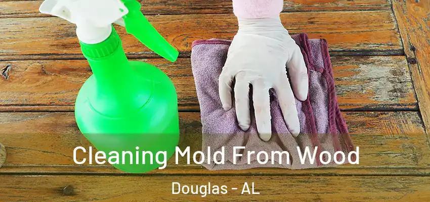  Cleaning Mold From Wood Douglas - AL