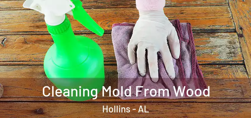  Cleaning Mold From Wood Hollins - AL