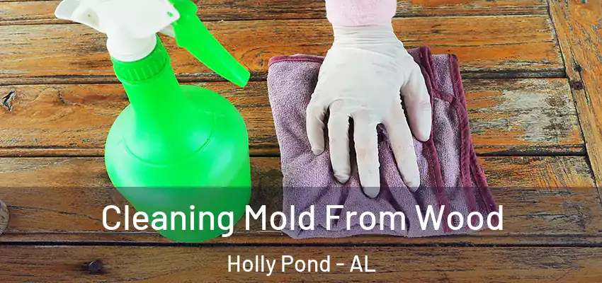 Cleaning Mold From Wood Holly Pond - AL