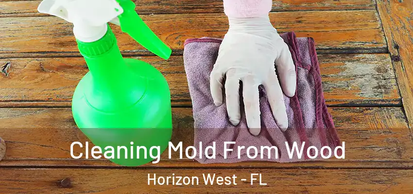  Cleaning Mold From Wood Horizon West - FL
