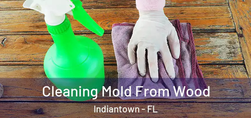  Cleaning Mold From Wood Indiantown - FL