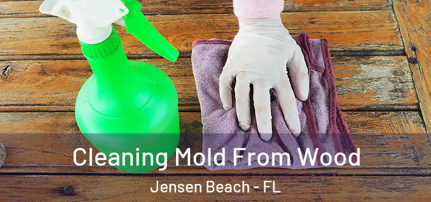 Cleaning Mold From Wood Jensen Beach - FL