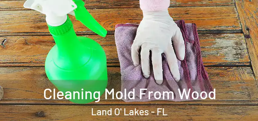 Cleaning Mold From Wood Land O' Lakes - FL