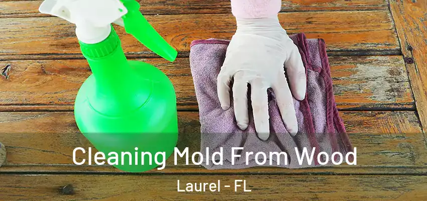 Cleaning Mold From Wood Laurel - FL