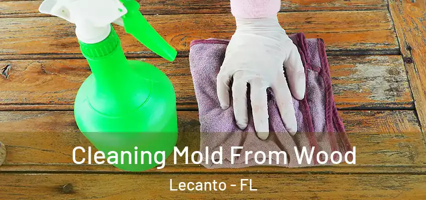  Cleaning Mold From Wood Lecanto - FL