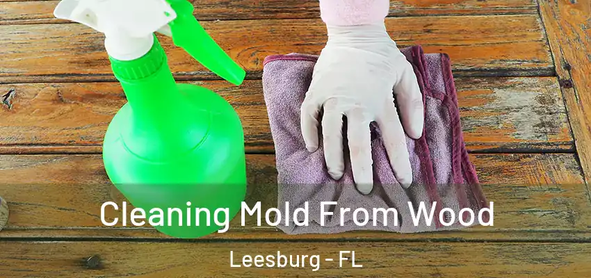 Cleaning Mold From Wood Leesburg - FL