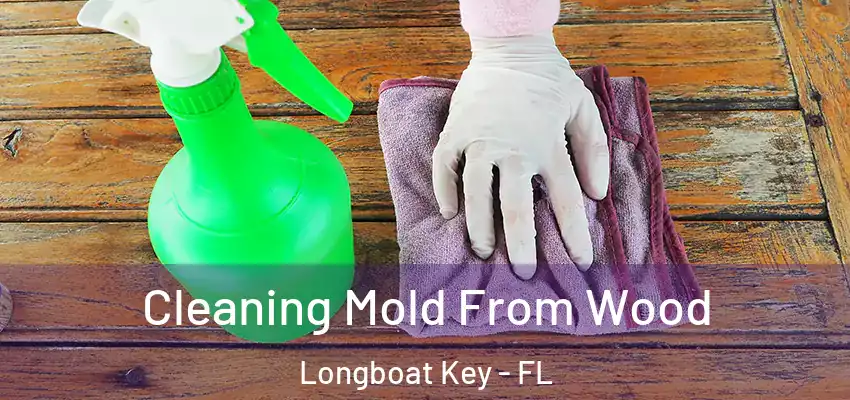 Cleaning Mold From Wood Longboat Key - FL