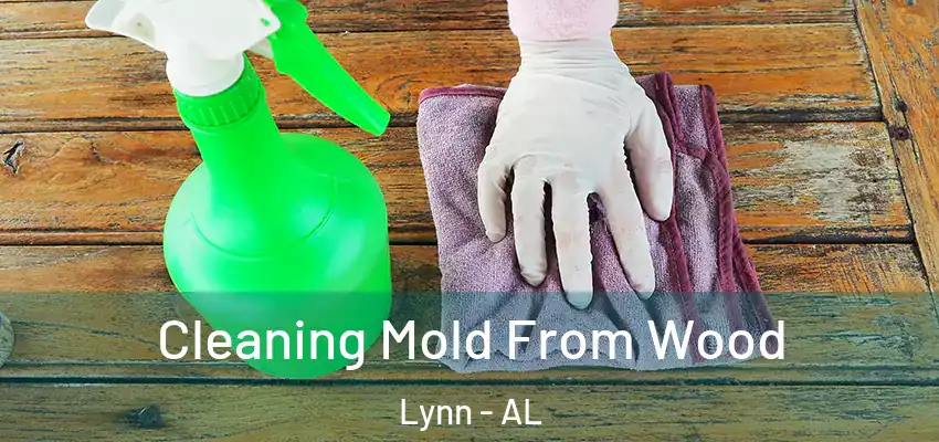 Cleaning Mold From Wood Lynn - AL