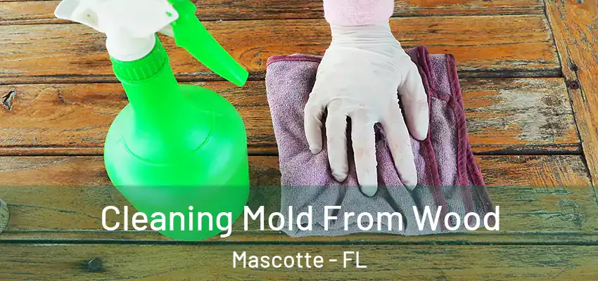  Cleaning Mold From Wood Mascotte - FL