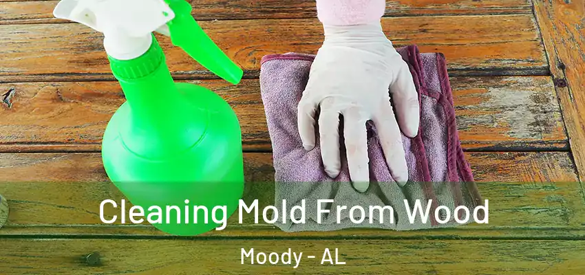 Cleaning Mold From Wood Moody - AL