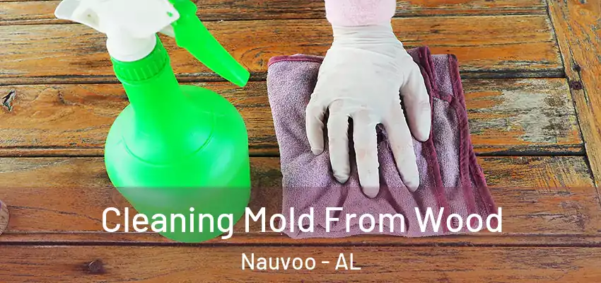  Cleaning Mold From Wood Nauvoo - AL