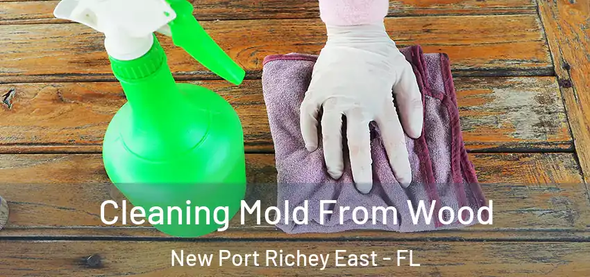 Cleaning Mold From Wood New Port Richey East - FL