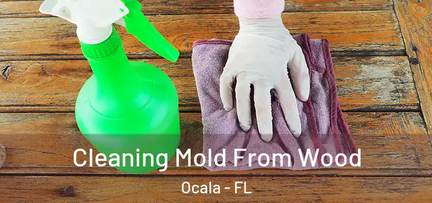  Cleaning Mold From Wood Ocala - FL