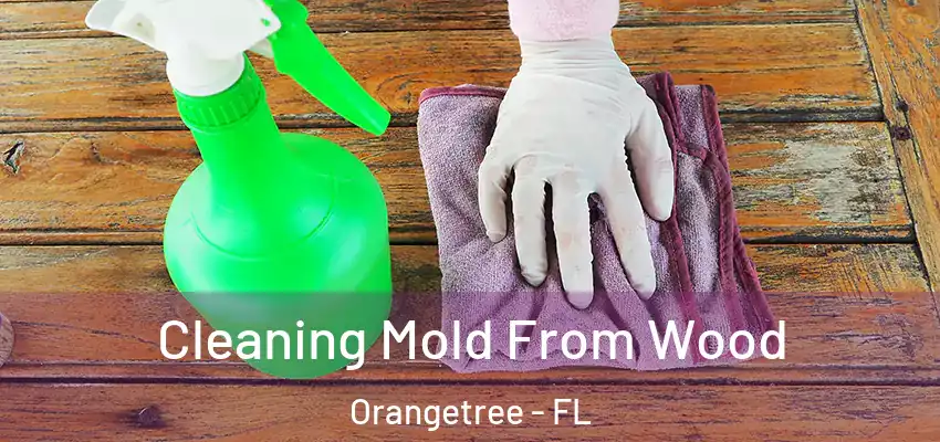 Cleaning Mold From Wood Orangetree - FL