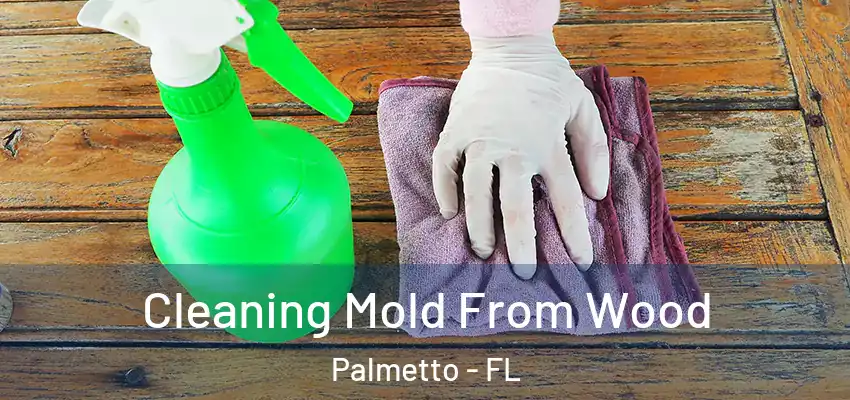  Cleaning Mold From Wood Palmetto - FL