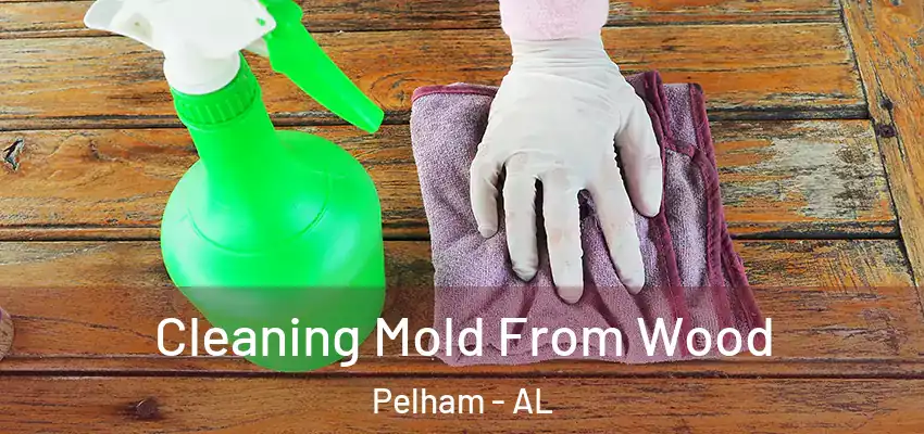  Cleaning Mold From Wood Pelham - AL