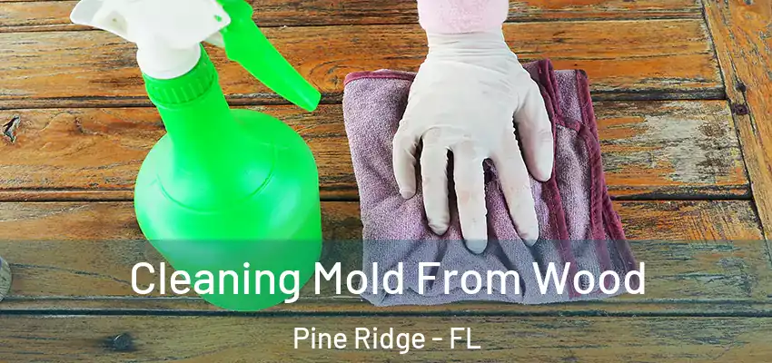 Cleaning Mold From Wood Pine Ridge - FL