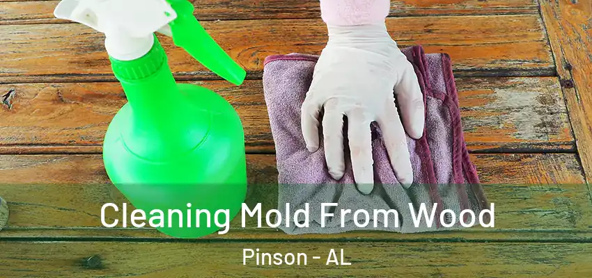  Cleaning Mold From Wood Pinson - AL