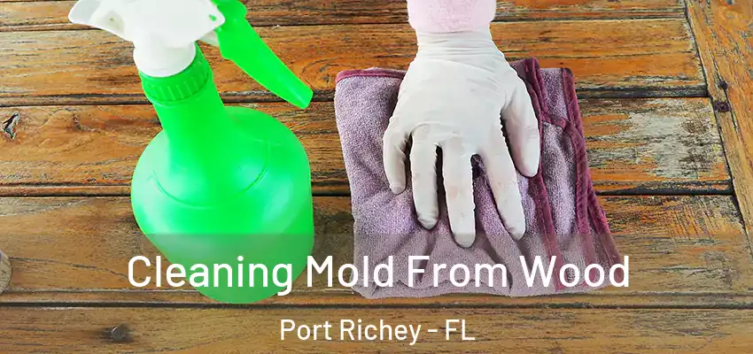 Cleaning Mold From Wood Port Richey - FL