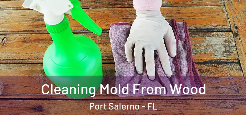 Cleaning Mold From Wood Port Salerno - FL