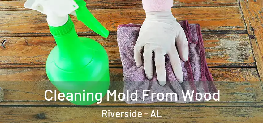 Cleaning Mold From Wood Riverside - AL