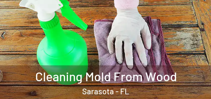 Cleaning Mold From Wood Sarasota - FL