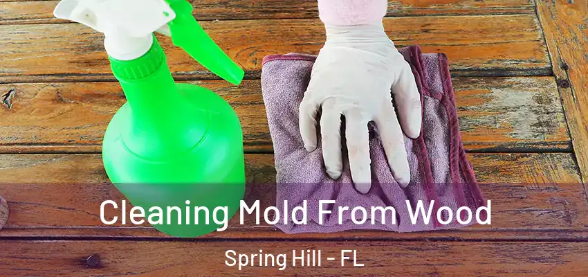 Cleaning Mold From Wood Spring Hill - FL