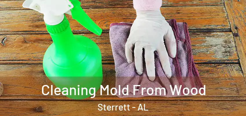 Cleaning Mold From Wood Sterrett - AL