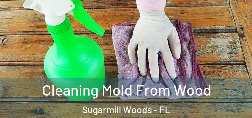  Cleaning Mold From Wood Sugarmill Woods - FL