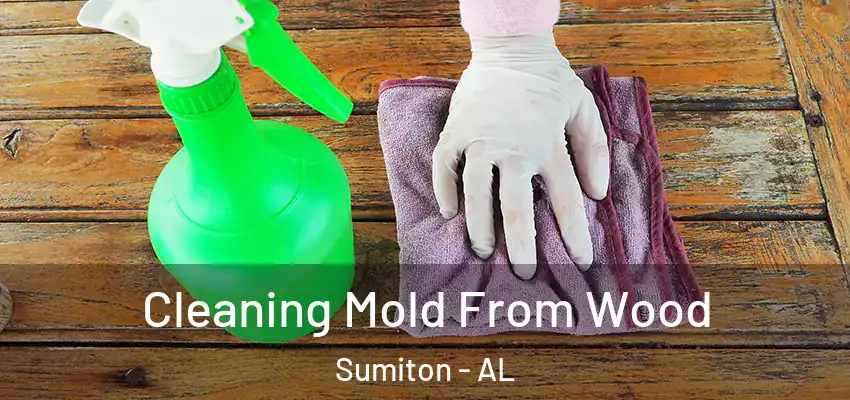 Cleaning Mold From Wood Sumiton - AL