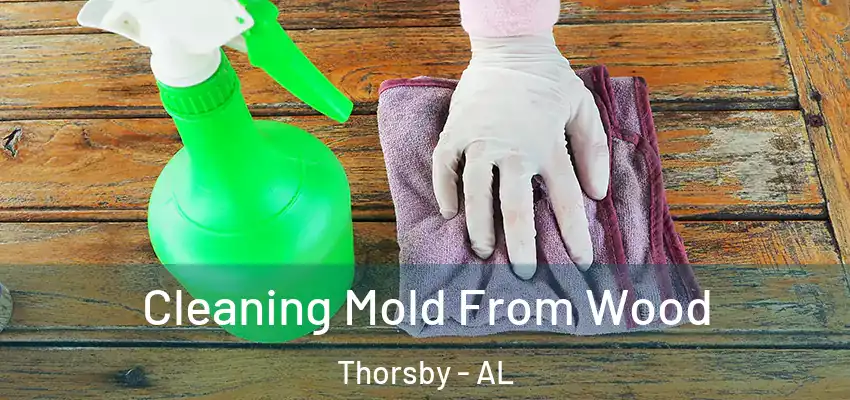  Cleaning Mold From Wood Thorsby - AL