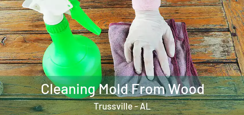 Cleaning Mold From Wood Trussville - AL