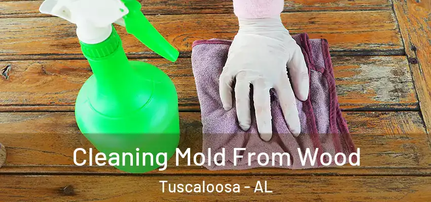 Cleaning Mold From Wood Tuscaloosa - AL