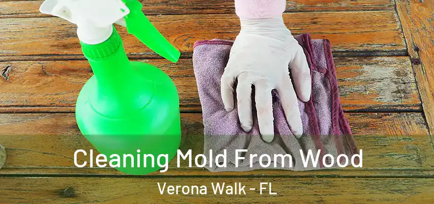 Cleaning Mold From Wood Verona Walk - FL