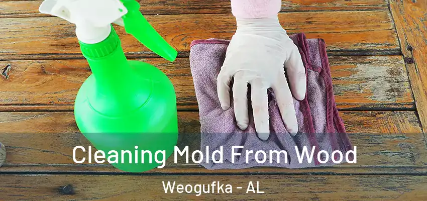  Cleaning Mold From Wood Weogufka - AL