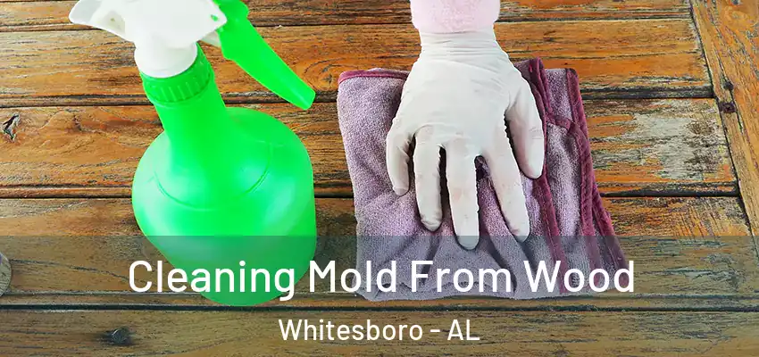 Cleaning Mold From Wood Whitesboro - AL