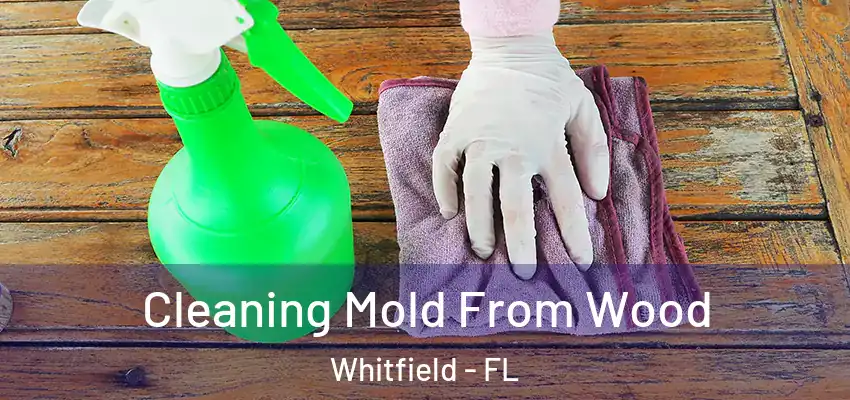Cleaning Mold From Wood Whitfield - FL